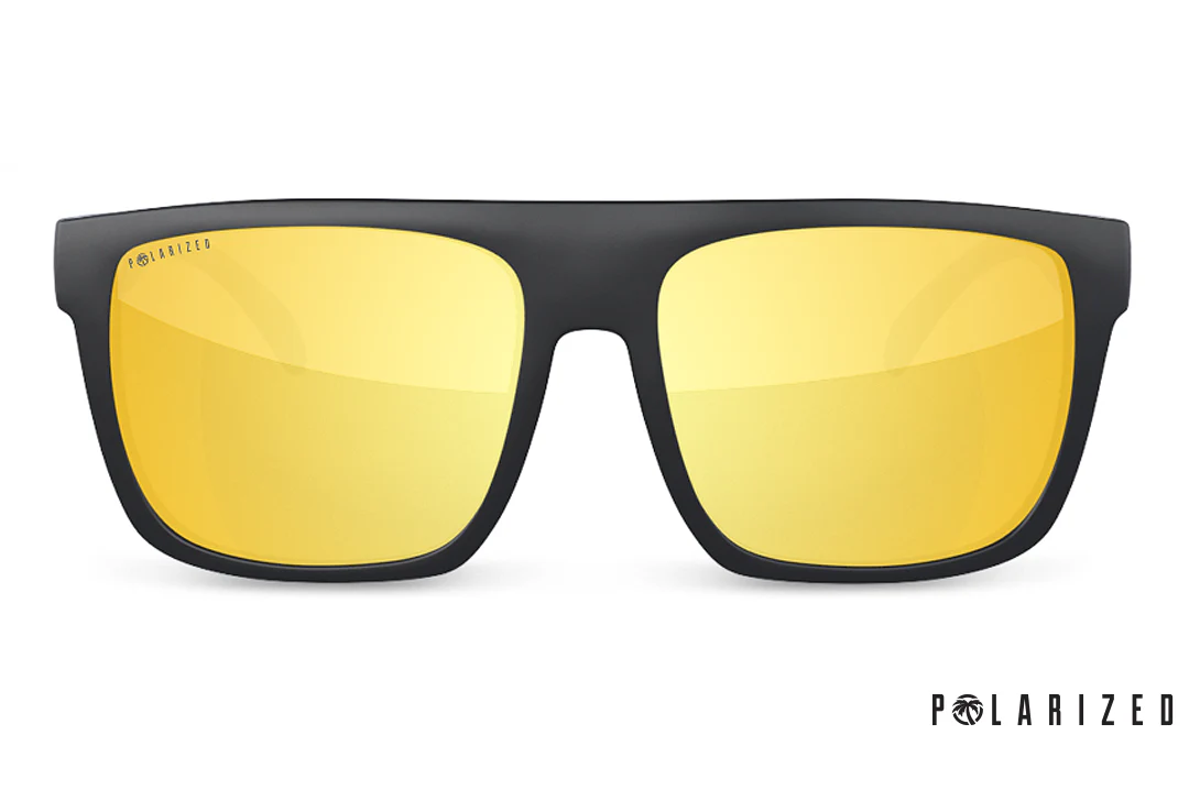 REGULATOR SUNGLASSES: Replacement Lenses - Image 33
